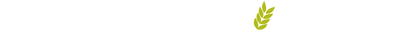 logo_footer